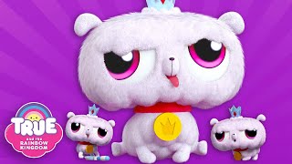 Giant Puppy 🐶 Frookie Sitting and More Full Episodes 🌈 2 Full Hours 🌈 True and the Rainbow Kingdom [upl. by Dub]