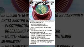 Лавровый лист советы полезныесоветы полезно чай витамины [upl. by Irotal]