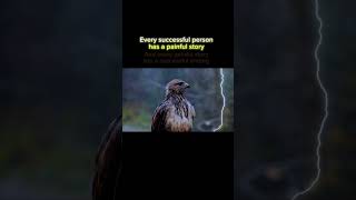 Every Successful Person Has a Painful Story  Inspirational Reminder 🌟motivation success [upl. by Hagerman]