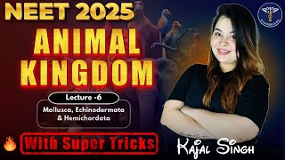 ANIMAL KINGDOM for NEET  NCERT  NEET 2025  Class 11 CBSE [upl. by Baram]