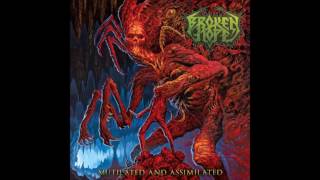 Broken Hope  Mutilated and Assimilated FULL ALBUM 2017 [upl. by Notloc]