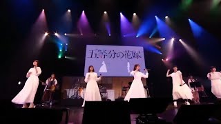 Gotoubun no Katachi  Opening Live from「五等分の花嫁∬ SPECIAL EVENT 2021 in 中野サンプラザ」 [upl. by Arrahs]