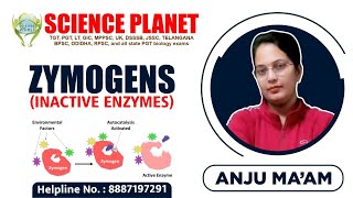 Zymogens Inactive Enzymes Explain by Anju Mam of Science Planet [upl. by Nnahaid]