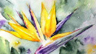 Watercolor bird of paradise flower paint along tutorial demo [upl. by Renaud]