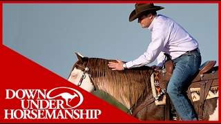 Clinton Anderson Presents Titan a Legend in the Making Lesson 9 Part 6  Downunder Horsemanship [upl. by Yttik]