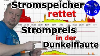 Mit dem Stromspeicher durch die Dunkelflaute – unsere Photovoltaik im November [upl. by Alyakcm]