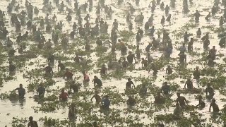 Villagers fish to celebrate harvest festival in northeast India  AFP [upl. by Buiron]