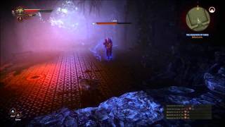 The Witcher 2  How to kill Letho Chapter 1 HARD [upl. by Eciened120]