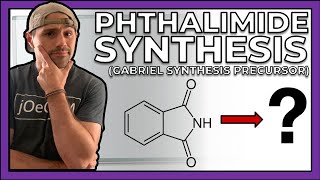 Precursor to the Gabriel Synthesis Making Phthalimide [upl. by Ellerrad]