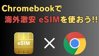 Softbankで投げ売りしてるN100 Chromebookで海外激安 eSIMを使ってみよう ローミングで日本でも利用可能 いつでもどこでも通信できるセルラーモデルも便利ですよ [upl. by Yornoc187]