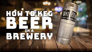 How to Keg Beer in a Brewery [upl. by Atnoled]