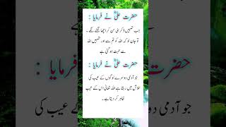 Hazrat Ali RZ says quotes hazrataliquote islamicfigure ytshorts poetry hazrataliquoets islam [upl. by Green]