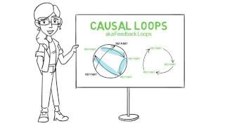 Introduction to Causal Loops [upl. by Matazzoni253]