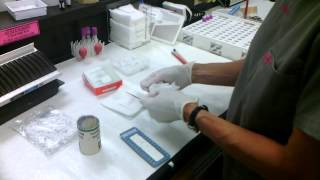 Microhematocrit demo [upl. by Ffilc]