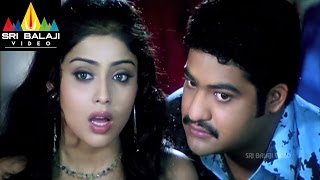 Naa Alludu Movie NTR Torcher to Ramya krishna  JrNTR Shriya Genelia  Sri Balaji Video [upl. by Sigismundo712]