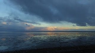 Texel Trilogie  vogeltrek in de herfst [upl. by Aivatnuhs]