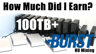 How Much Did I Earn 100TB Burstcoin HardDrive Mining Rig [upl. by Ullman]