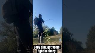 Baby dink got some fight in him💀fishing shorts fypシ゚viral [upl. by Mikel]