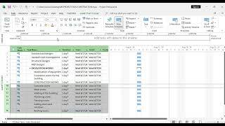 WORK BREAKDOWN STRUCTURE IN MS PROJECT [upl. by Alet]