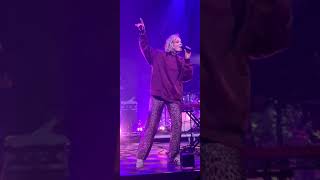 TAYA  Carry Me Home LIVE Veenendaal The Netherlands 2024 [upl. by Attah535]