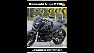 Unveiling the Secret Features of the 2024 Kawasaki Ninja Z250 🔥 [upl. by Adnamma239]