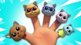 gattino famiglia dito  filastrocca  canzoni per bambini  Kids Song  Kitten Finger Family [upl. by Ber]