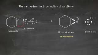 Bromination of cyclohexene [upl. by Stryker]