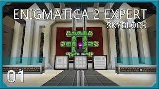 Enigmatica 2 Expert Skyblock EP1 [upl. by Mcilroy]