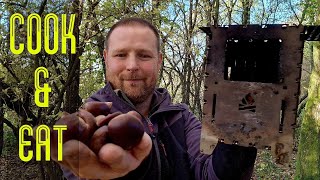 Roasting chestnuts on my Bushbox xl essentials stove [upl. by Ibor]