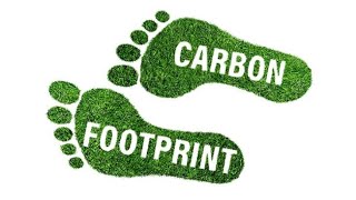 Introduction to Carbon Footprint Carbon Neutrality amp Netzero Emissions  Sustainability  Hindi [upl. by Eugirne]