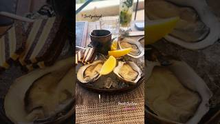 Fresh Oysters At Saltz Restaurant Dolder Grand Hotel Zurich shortvideo travel swisslifestyle [upl. by Zerat]