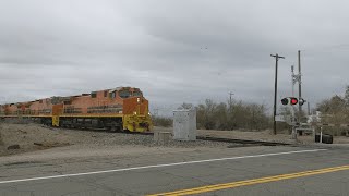 Arizona amp California Railroad ARZC  March 1 2023 [upl. by Darian]