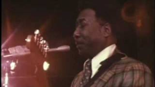 Mannish Boy  Muddy Waters Live 1971 [upl. by Ytomit]