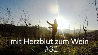 mit Herzblut zum Wein Vlog 32 Reben schneiden N°1  Weinwichteln [upl. by Nahsyar]