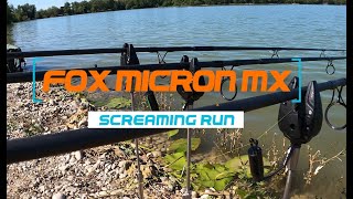 New Fox Micron MX SCREAMING RUN [upl. by Rehpetsirhc]