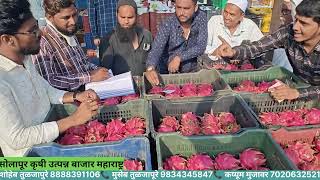 DRAGON FRUIT amp GOLDEN SITAFAL MARKET PRICE TODAY  NRT FRUIT COMPANY SOLAPUR [upl. by Nnairac]