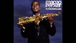 MACEO PARKER  LETS GET IT ON 1998 [upl. by Nosbig]