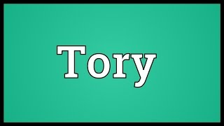 Tory Meaning [upl. by Galatia249]