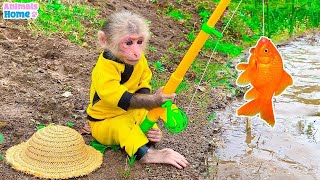 Monkey Baby BiBi goes fishing to feed kittens and swim with ducklings  AnimalsHome [upl. by Eatnahc]