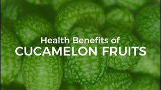 10 Health Benefits of Cucamelon Fruits [upl. by Yuji997]