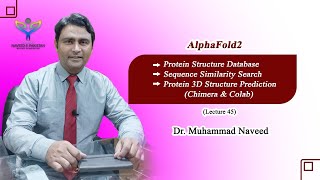 AlphaFold 2  Protein 3D Structure Prediction by Chimera amp Colab  Lecture 45  Dr Muhammad Naveed [upl. by Dabbs]