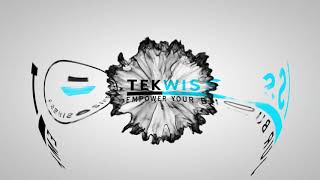 TekWissen Group Logo Animation [upl. by Poppy]