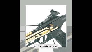 Arbalète pistolet 80 lbs doré performance  3 flèches [upl. by Grimaldi]