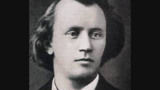 Brahms  hungarian dance no 5 in G minor [upl. by Simpkins]