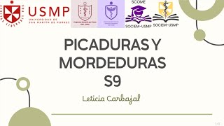 PBM  SESIÓN 9  LETICIA CARBAJAL  20242 [upl. by Anjali]