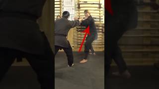 How To Do NINJUTSU Traditional FIGHTING KATA Shorts [upl. by Nnaeilsel435]