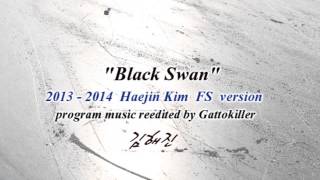 Haejin Kim 20132014 FS [upl. by Elwyn331]