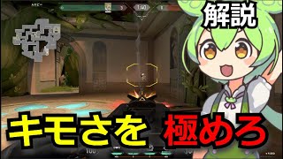 【初心者向け】ロータス壁抜き口座【オーディン】 [upl. by Wende275]