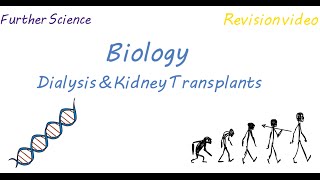 B3 Dialysis amp Kidney Transplant Revision [upl. by Notgnilra]