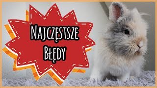 Opieka nad królikiem  najczęściej popełniane błędy 🐰 [upl. by Sieracki]